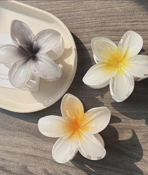 3x Grote Boho Bloemen Haarclips Acryl - Gradient Kleuren & Hawaii Stijl Haaraccessoires voor Dames