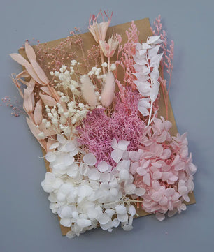 Set Gedroogde Bloemen & Hydrangea voor Ambacht & Decoratie