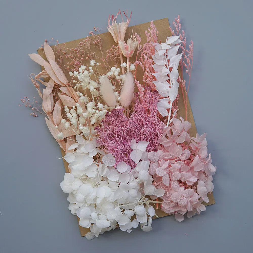Set Gedroogde Bloemen & Hydrangea voor Ambacht & Decoratie