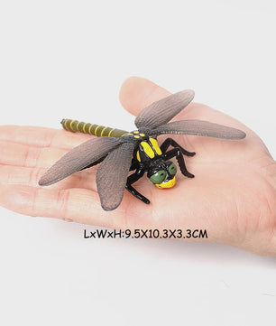Realistische Insecten & Slakken Modellen - Educatief Speelgoed, Verzamelen & Decoratie