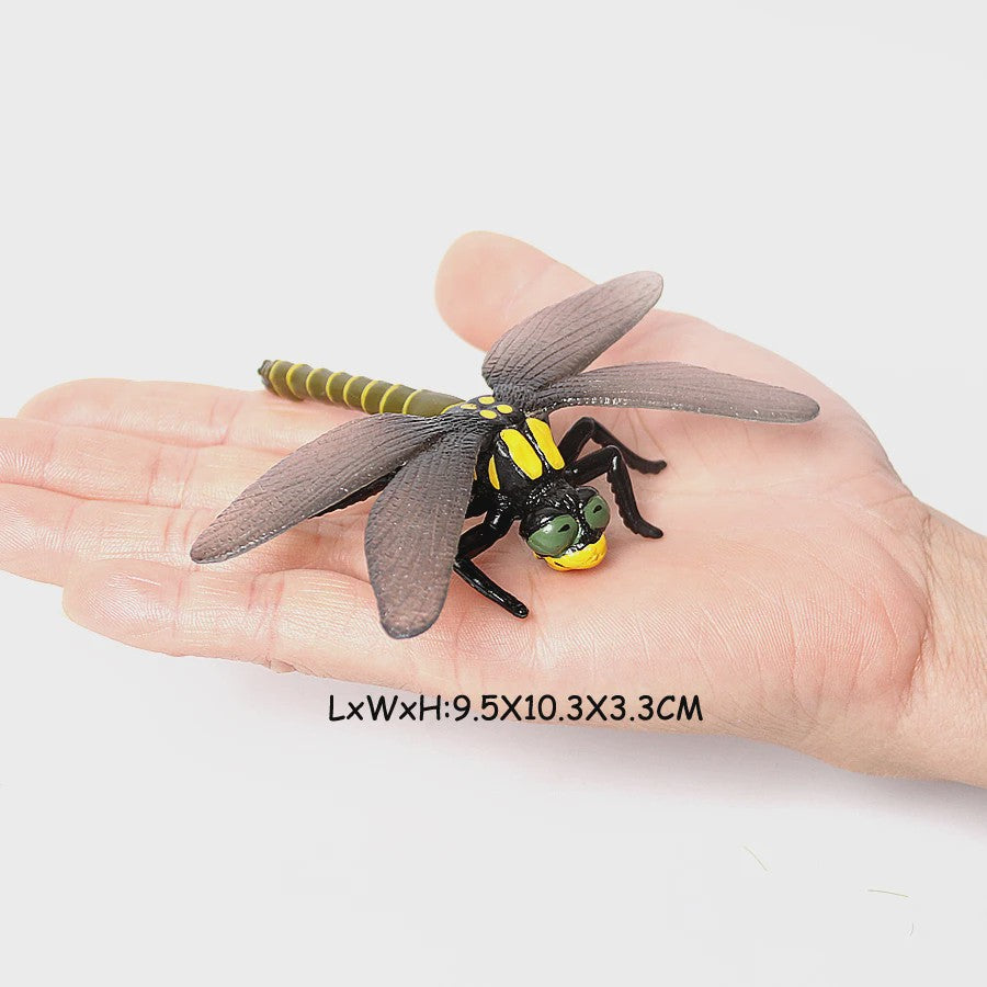 Realistische Insecten & Slakken Modellen - Educatief Speelgoed, Verzamelen & Decoratie