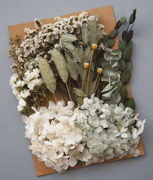Set Gedroogde Bloemen & Hydrangea voor Ambacht & Decoratie