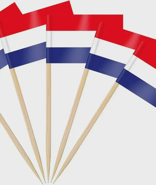 100x Mini India Vlaggetjes op Houten Prikkers - Ideaal voor Cupcakes, Cocktails & Feestdecoratie