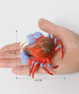 Educatieve Prehistorische Zeedieren Figuren Set: Baculite, Opabinia, Krab & Meer