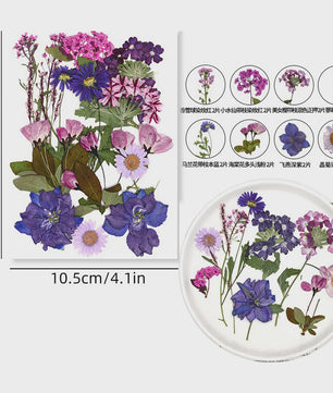 Set Gedroogde Bloemen & Bladeren (16-19 Stuks) - Natuurlijk & Realistisch