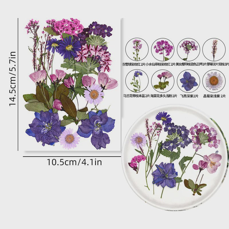 Set Gedroogde Bloemen & Bladeren (16-19 Stuks) - Natuurlijk & Realistisch