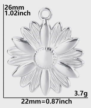 Set van 5 Zilverkleurige Stainless Steel Bedels: Ster, Maan, Zon, Vlinder, Roos & Ojo Turco