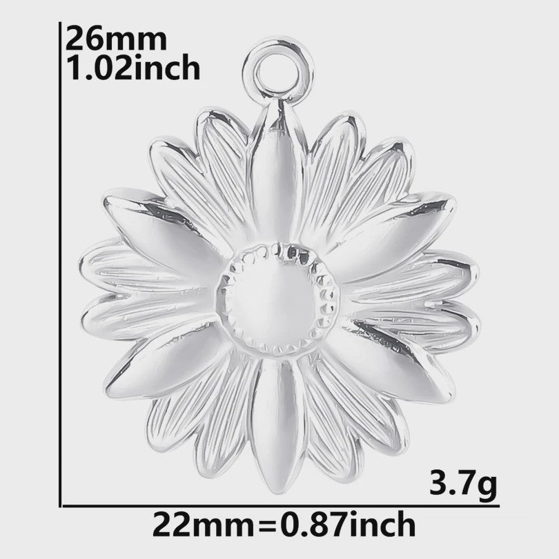 Set van 5 Zilverkleurige Stainless Steel Bedels: Ster, Maan, Zon, Vlinder, Roos & Ojo Turco