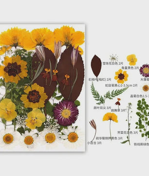 30 Stuks Gedroogde Persbloemen - Natuurlijke Bloemen & Bladeren voor Resin Art, Knutselen en Decoratie