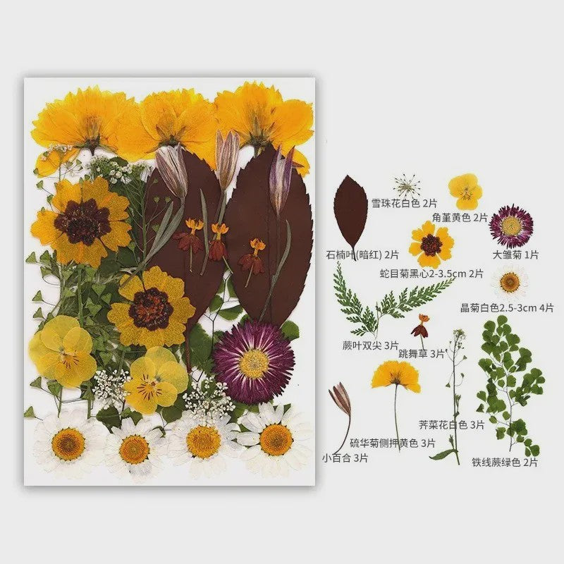 30 Stuks Gedroogde Persbloemen - Natuurlijke Bloemen & Bladeren voor Resin Art, Knutselen en Decoratie