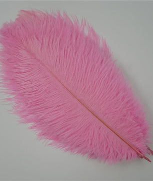 Set van 10 Gekleurde Struisvogelveren voor Knutselen, Decoratie en Feesten