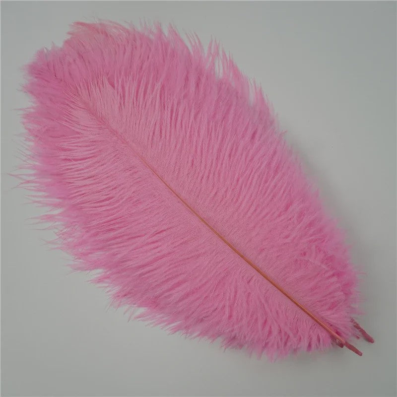 Set van 10 Gekleurde Struisvogelveren voor Knutselen, Decoratie en Feesten