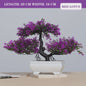 Kunst Bonsai Boom Potted Plant - Decoratieve Kunstplant voor Huis & Kantoor