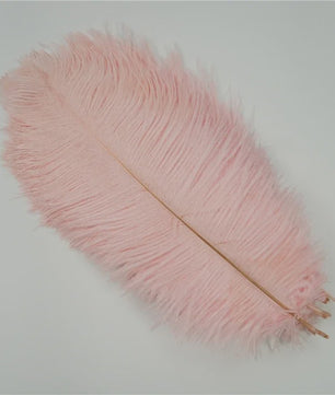 Set van 10 Gekleurde Struisvogelveren voor Knutselen, Decoratie en Feesten