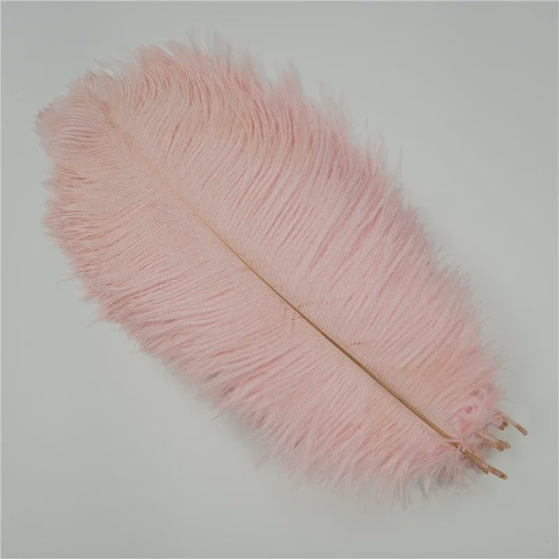 Set van 10 Gekleurde Struisvogelveren voor Knutselen, Decoratie en Feesten