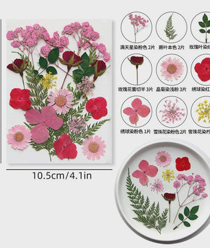 Set Gedroogde Bloemen & Bladeren (16-19 Stuks) - Natuurlijk & Realistisch