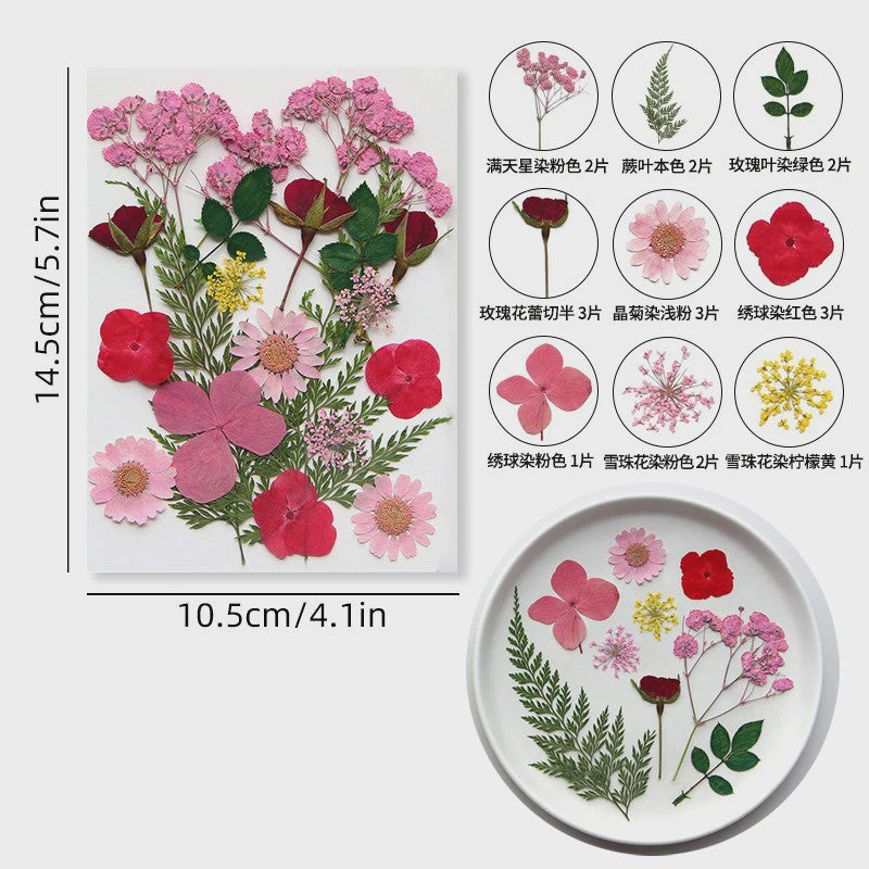 Set Gedroogde Bloemen & Bladeren (16-19 Stuks) - Natuurlijk & Realistisch
