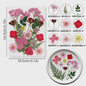 Set Gedroogde Bloemen & Bladeren (16-19 Stuks) - Natuurlijk & Realistisch