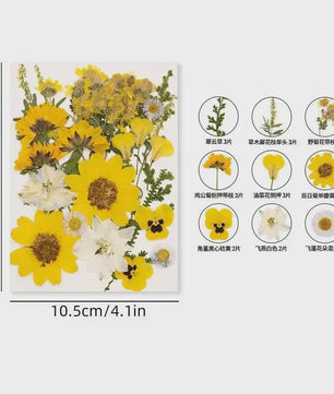 30 Stuks Gedroogde Persbloemen - Natuurlijke Bloemen & Bladeren voor Resin Art, Knutselen en Decoratie
