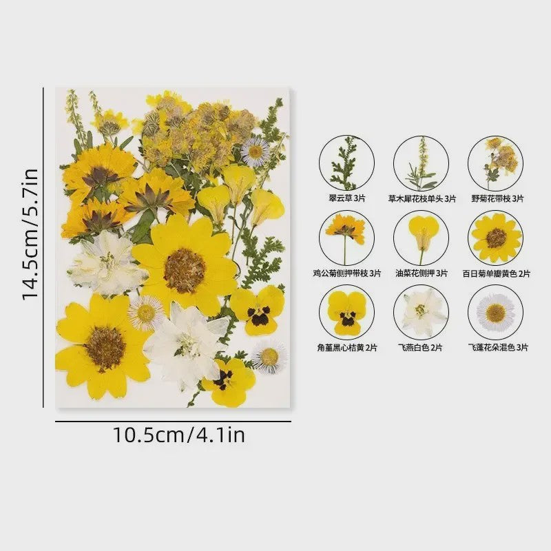 30 Stuks Gedroogde Persbloemen - Natuurlijke Bloemen & Bladeren voor Resin Art, Knutselen en Decoratie