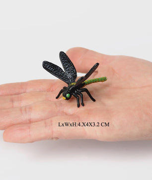 Realistische Insecten & Slakken Modellen - Educatief Speelgoed, Verzamelen & Decoratie