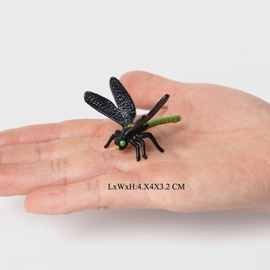 Realistische Insecten & Slakken Modellen - Educatief Speelgoed, Verzamelen & Decoratie