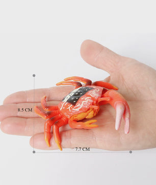 Educatieve Prehistorische Zeedieren Figuren Set: Baculite, Opabinia, Krab & Meer
