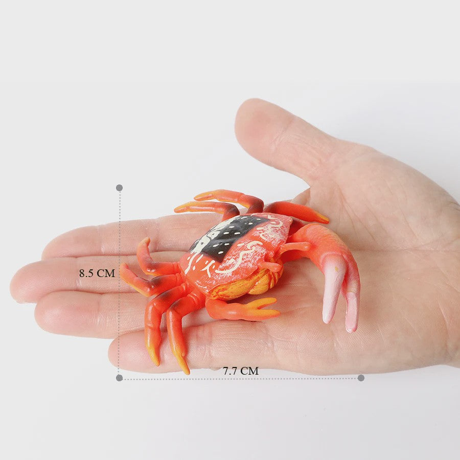 Educatieve Prehistorische Zeedieren Figuren Set: Baculite, Opabinia, Krab & Meer