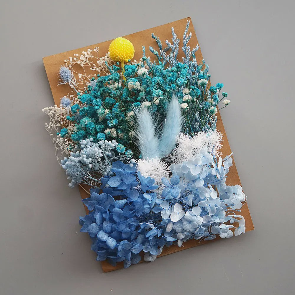 Set Gedroogde Bloemen & Hydrangea voor Ambacht & Decoratie