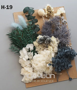 Set Gedroogde Bloemen & Hydrangea voor Ambacht & Decoratie