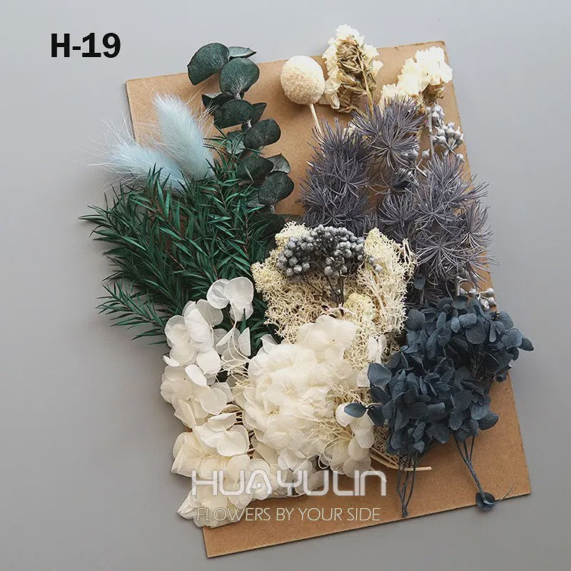 Set Gedroogde Bloemen & Hydrangea voor Ambacht & Decoratie