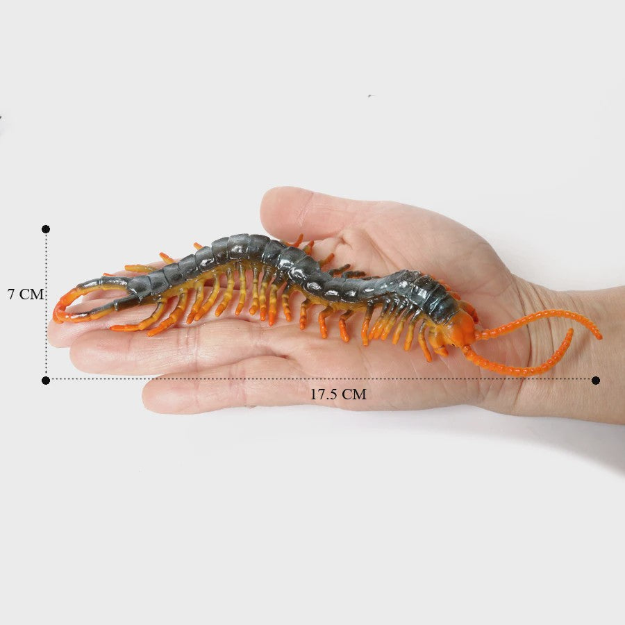Realistische Insecten & Slakken Modellen - Educatief Speelgoed, Verzamelen & Decoratie