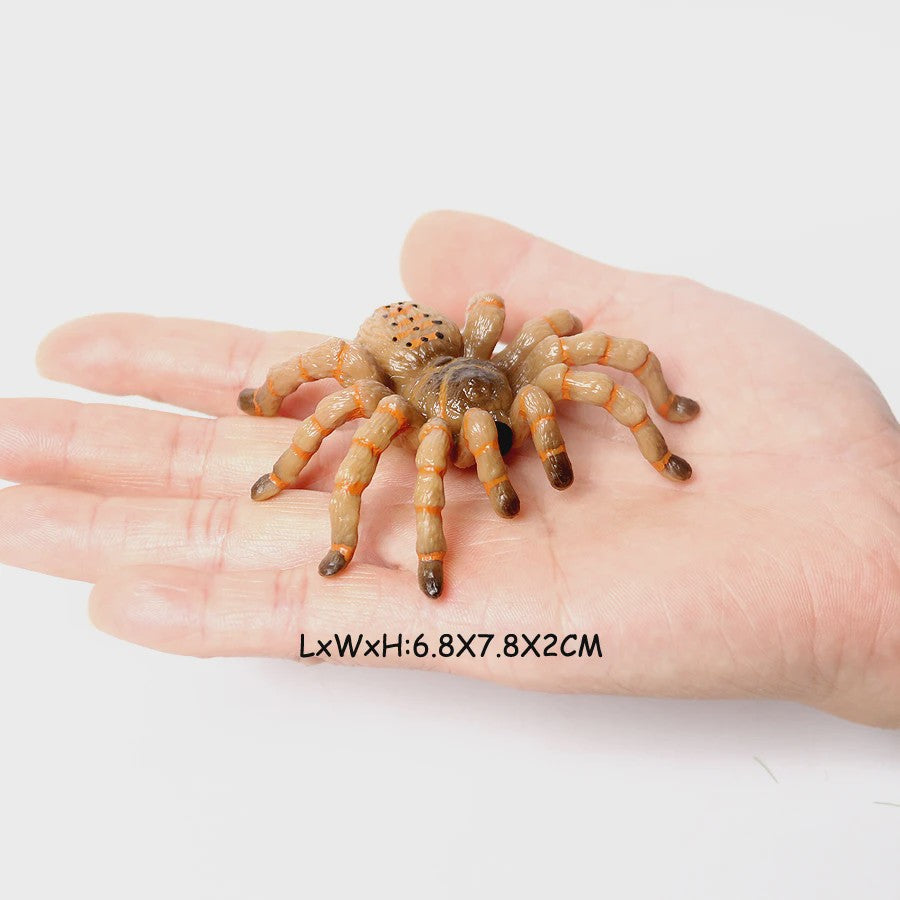 Montessori Levenscyclus Insecten Speelgoed: Spin, Duizendpoot, Schorpioen & Mier
