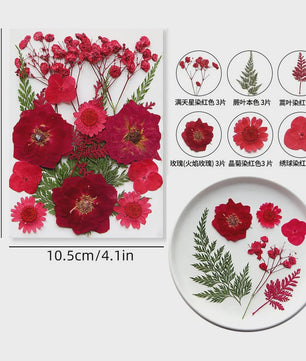 Set Gedroogde Bloemen & Bladeren (16-19 Stuks) - Natuurlijk & Realistisch