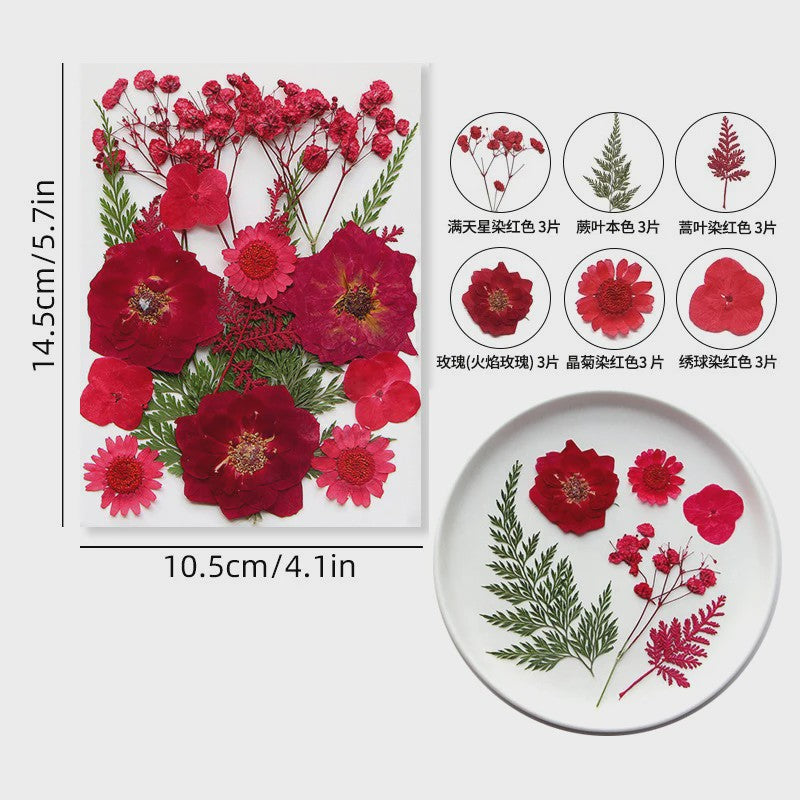 Set Gedroogde Bloemen & Bladeren (16-19 Stuks) - Natuurlijk & Realistisch