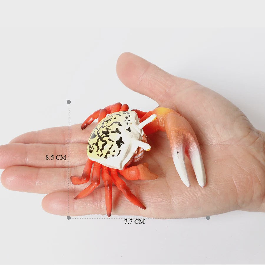 Educatieve Prehistorische Zeedieren Figuren Set: Baculite, Opabinia, Krab & Meer