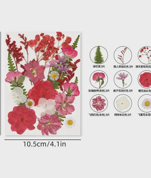 30 Stuks Gedroogde Persbloemen - Natuurlijke Bloemen & Bladeren voor Resin Art, Knutselen en Decoratie