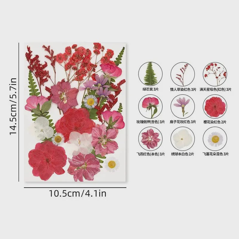 30 Stuks Gedroogde Persbloemen - Natuurlijke Bloemen & Bladeren voor Resin Art, Knutselen en Decoratie