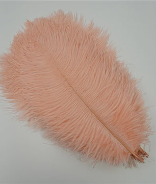 Set van 10 Gekleurde Struisvogelveren voor Knutselen, Decoratie en Feesten