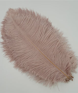 Set van 10 Gekleurde Struisvogelveren voor Knutselen, Decoratie en Feesten