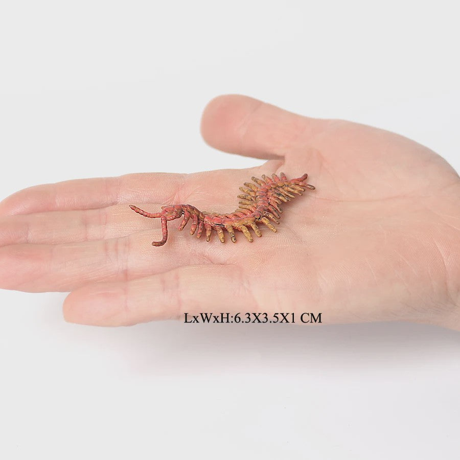 Realistische Insecten & Slakken Modellen - Educatief Speelgoed, Verzamelen & Decoratie
