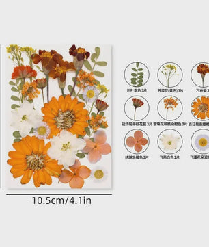 30 Stuks Gedroogde Persbloemen - Natuurlijke Bloemen & Bladeren voor Resin Art, Knutselen en Decoratie