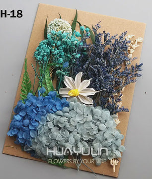 Set Gedroogde Bloemen & Hydrangea voor Ambacht & Decoratie