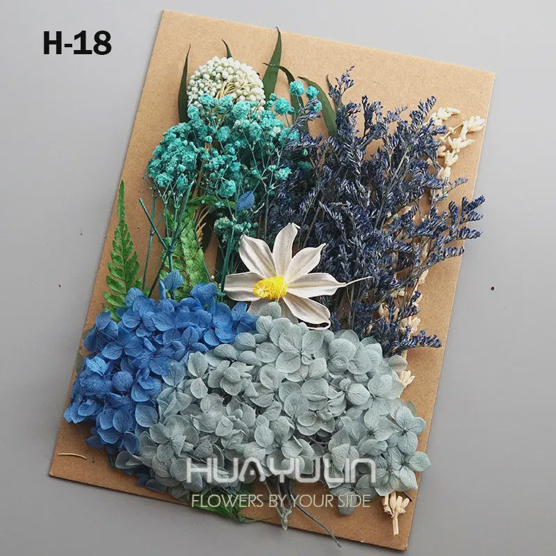 Set Gedroogde Bloemen & Hydrangea voor Ambacht & Decoratie