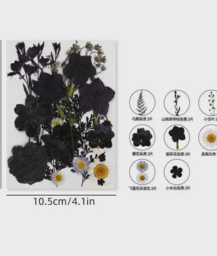 Set Gedroogde Bloemen & Bladeren (16-19 Stuks) - Natuurlijk & Realistisch