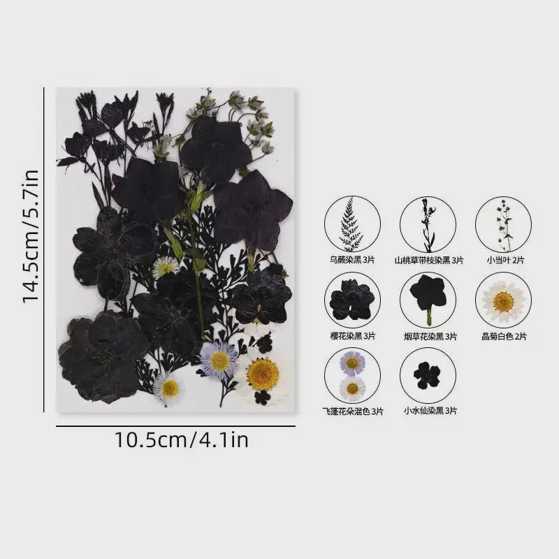 Set Gedroogde Bloemen & Bladeren (16-19 Stuks) - Natuurlijk & Realistisch