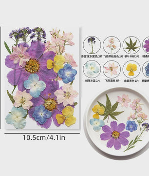 Set Gedroogde Bloemen & Bladeren (16-19 Stuks) - Natuurlijk & Realistisch