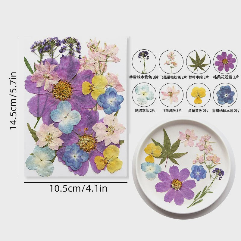 Set Gedroogde Bloemen & Bladeren (16-19 Stuks) - Natuurlijk & Realistisch