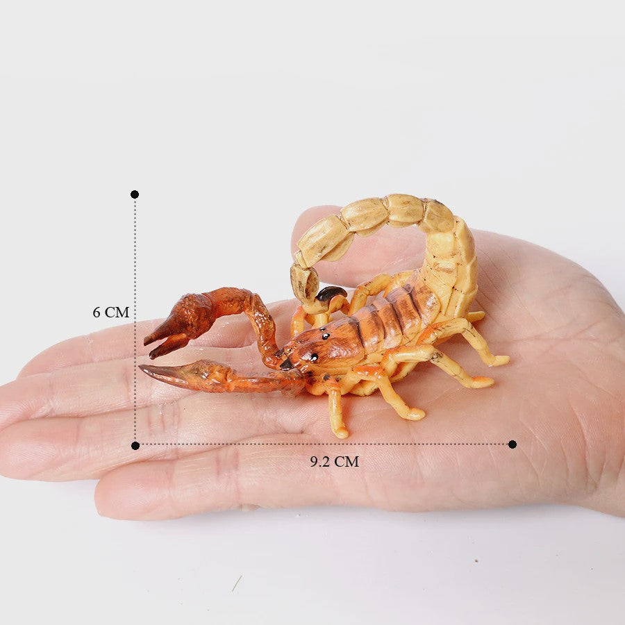 Realistische Insecten & Slakken Modellen - Educatief Speelgoed, Verzamelen & Decoratie