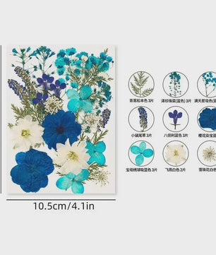 30 Stuks Gedroogde Persbloemen - Natuurlijke Bloemen & Bladeren voor Resin Art, Knutselen en Decoratie